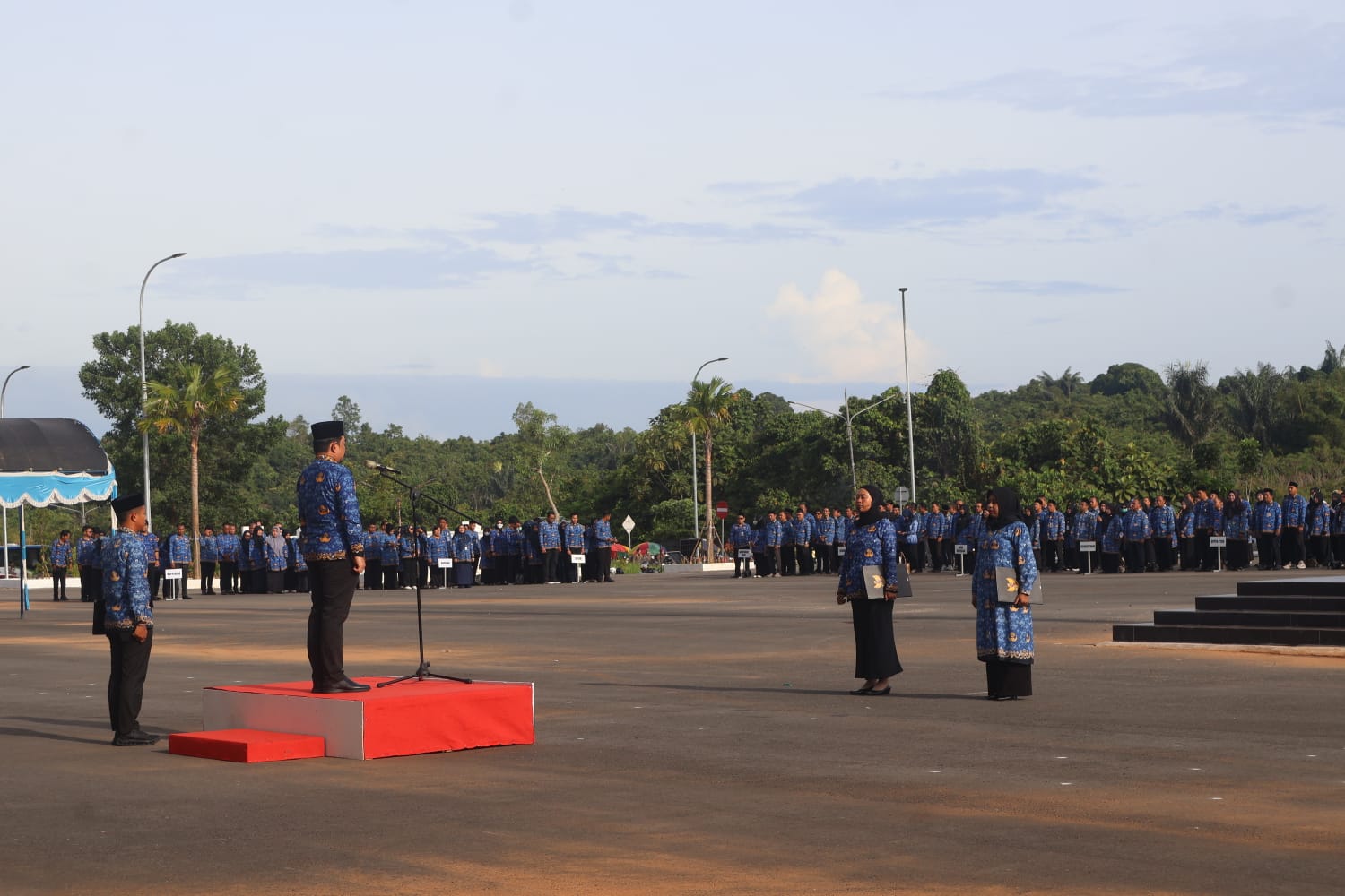 WhatsApp Image 2026-02-18 at 1.14