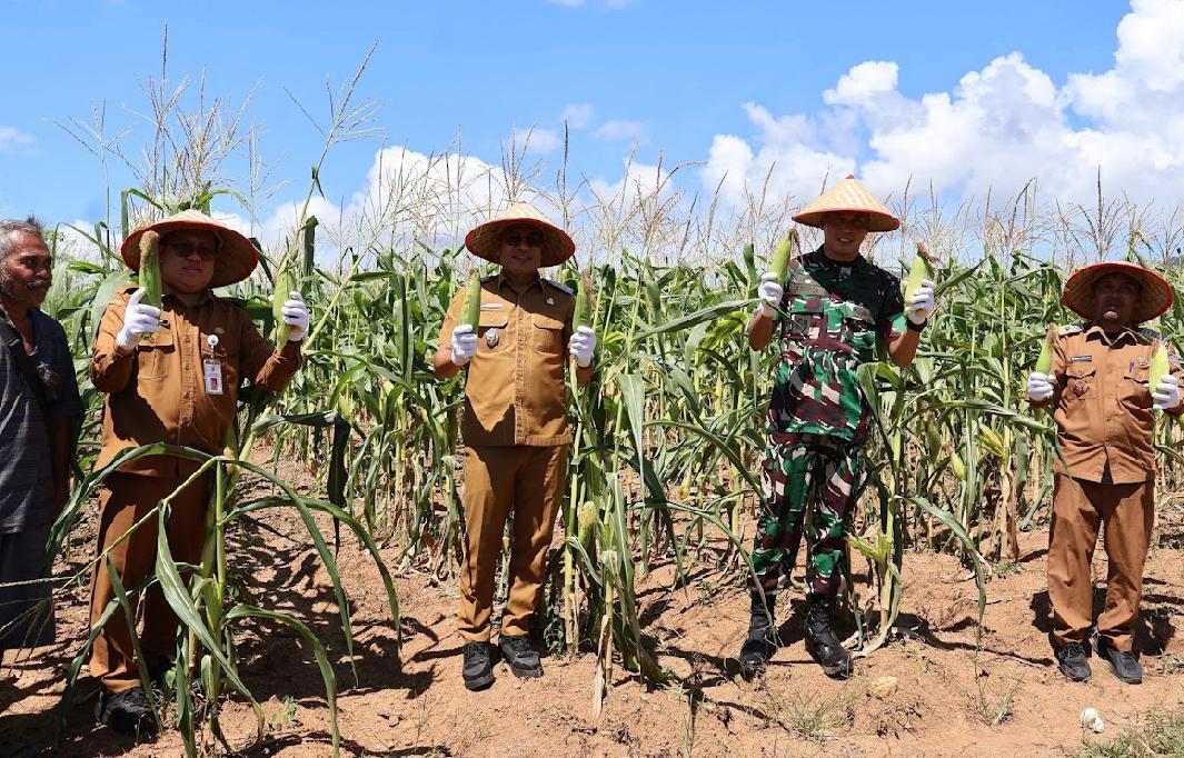 WhatsApp Image 2026-04-06 at 6.52